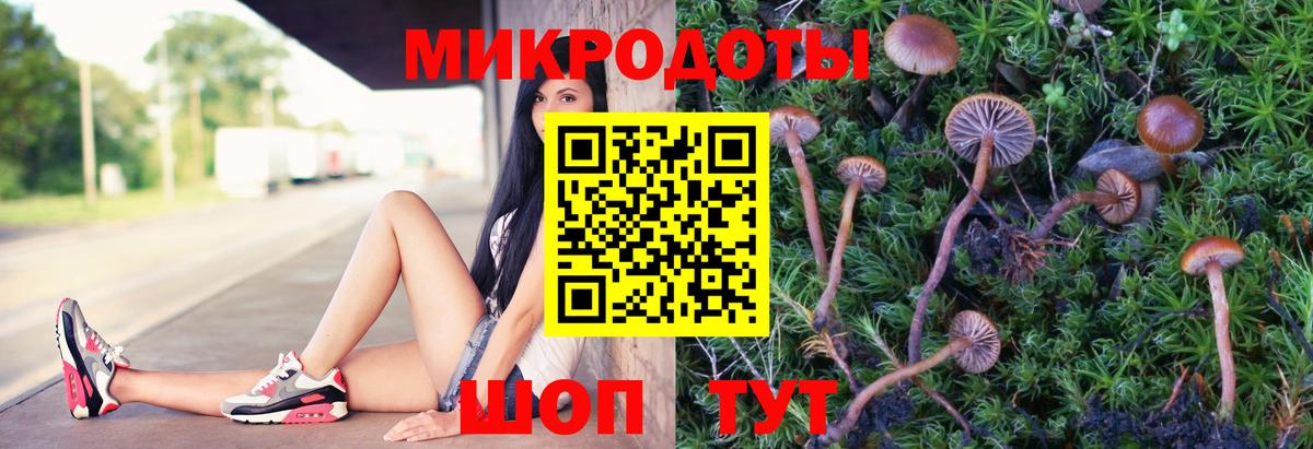 Каспийск  купить наркотик  Галлюциногенные грибы мицелий  Вход с VPN  Галлюциногенные грибы прущие грибы 