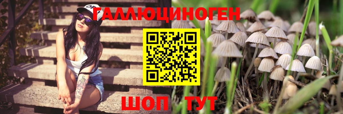 Псилоцибиновые грибы мицелий Каспийск